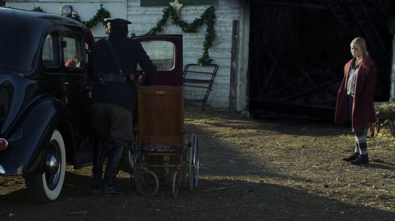 12只圣诞狗:大狗小狗救援图片