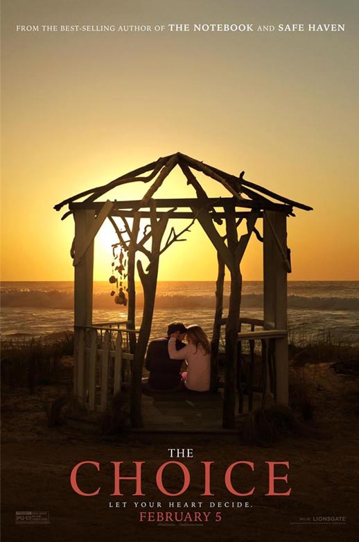 爱情的选择海报