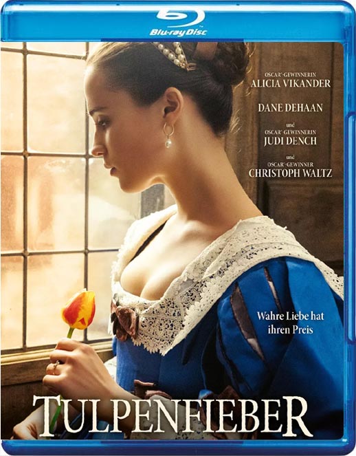 狂热郁金香海报