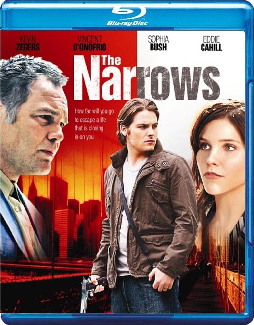 纽约湾海峡海报