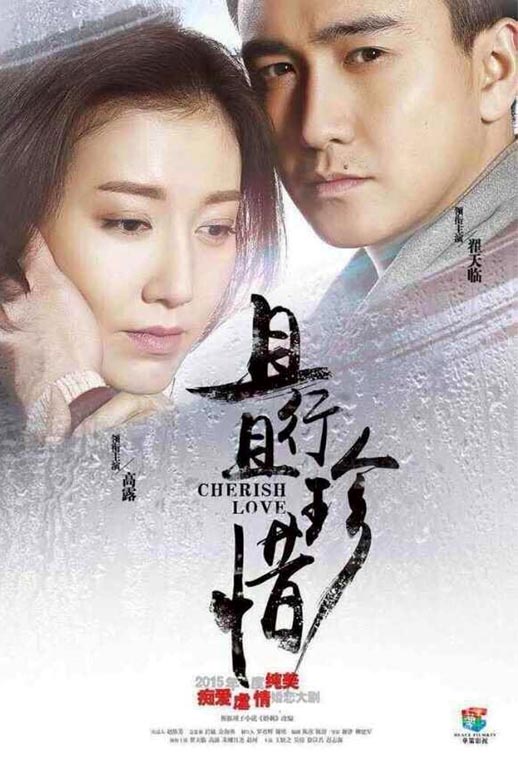 且行且珍惜海报