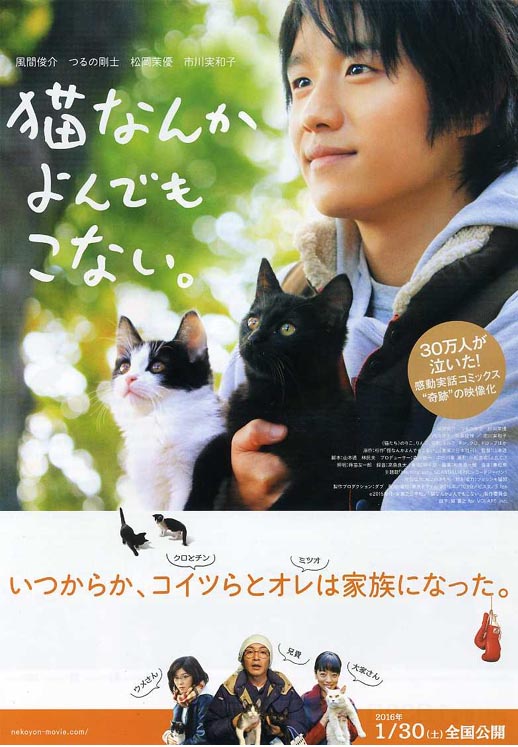 为什么猫都叫不来海报