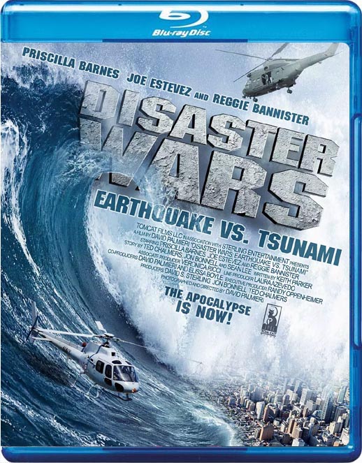灾难的战争:地震与海啸海报