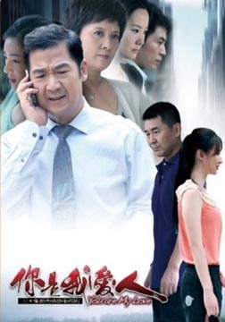 你是我爱人海报