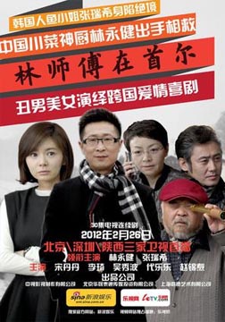 林师傅在首尔海报