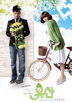 灿烂的遗产海报