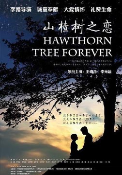 山楂树之恋海报
