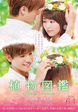 植物图鉴海报