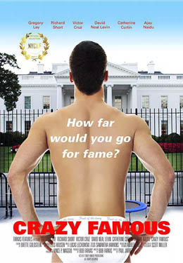 疯狂成名记海报